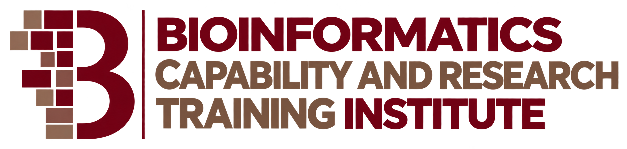 Bioinformatics Capability and Research Training Institute
